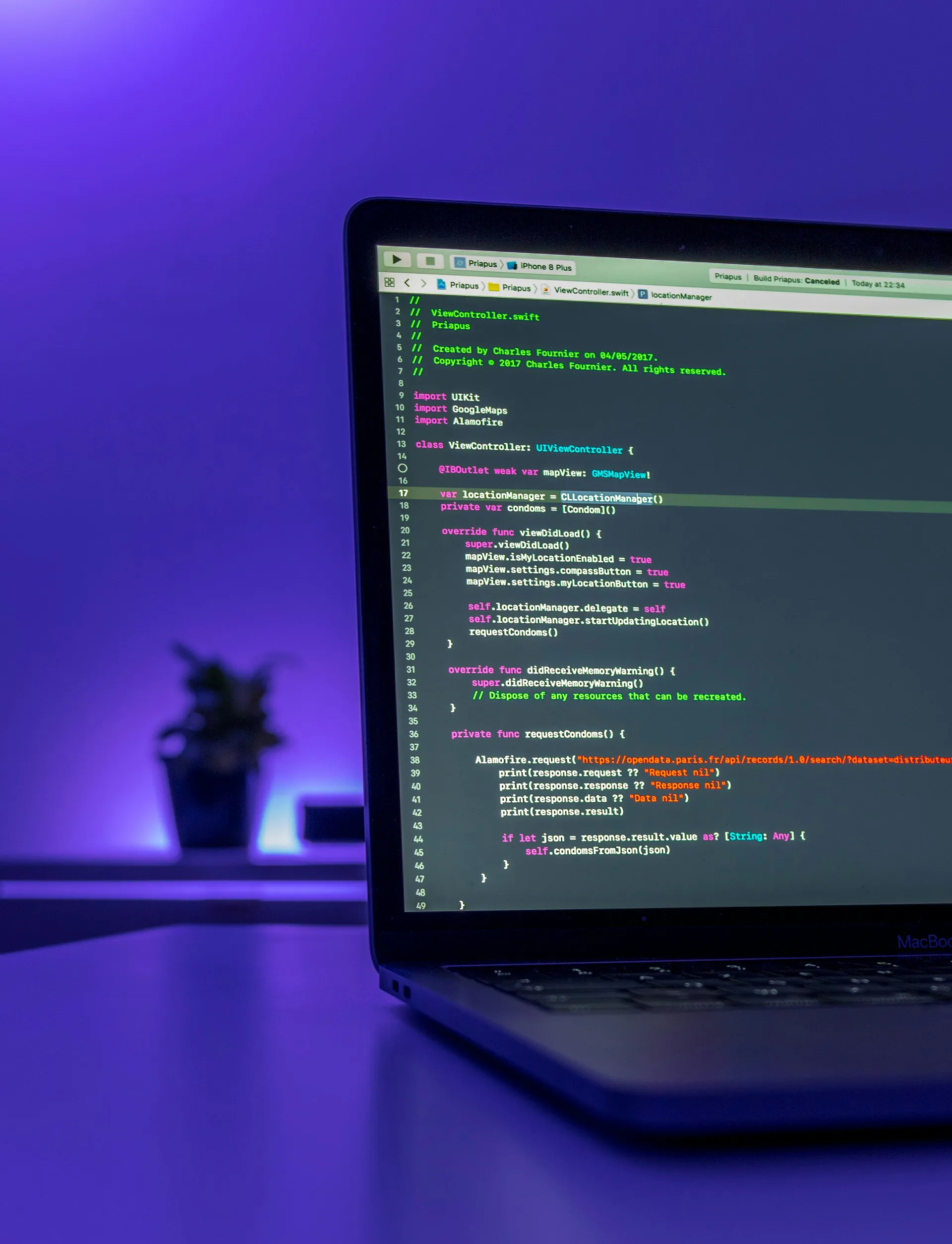 Enterprise web site development